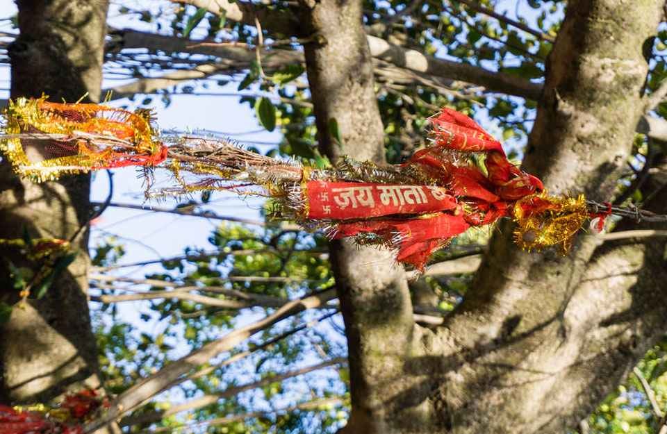 कब है वट सावित्री व्रत